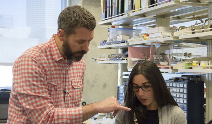 Study: Traumatic events alter children's brains, affect adult function
