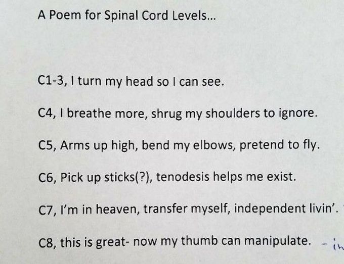 Spinal cord levels- A POEM
