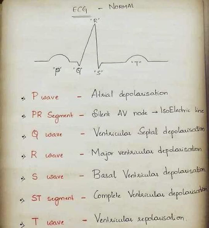 Normal ECG