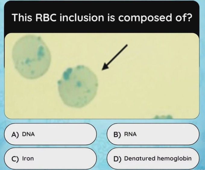 RBC Inclusion