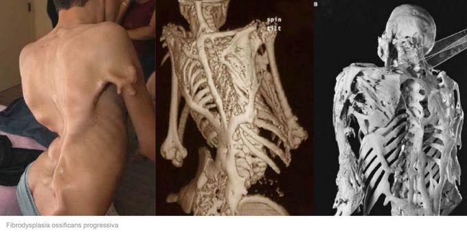What’s your diagnosis