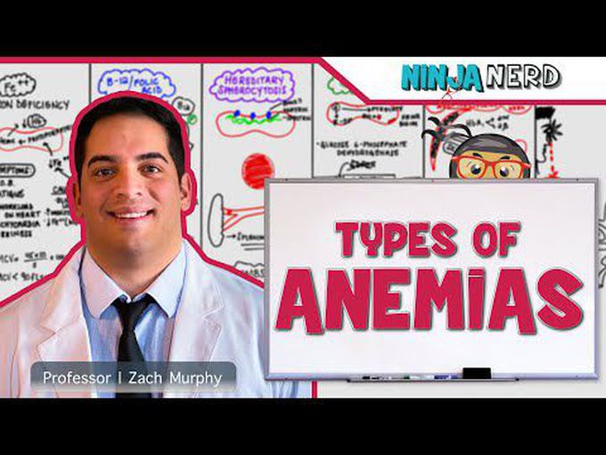 Classification of anemia; mechanism, cause and treatment