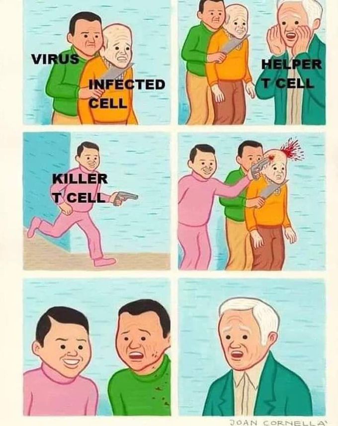 Immune system 🛡⚔️
Funny but very apprehensible 😁