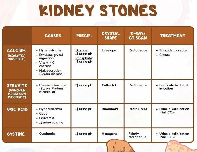 Types of Kidney Stone - Review