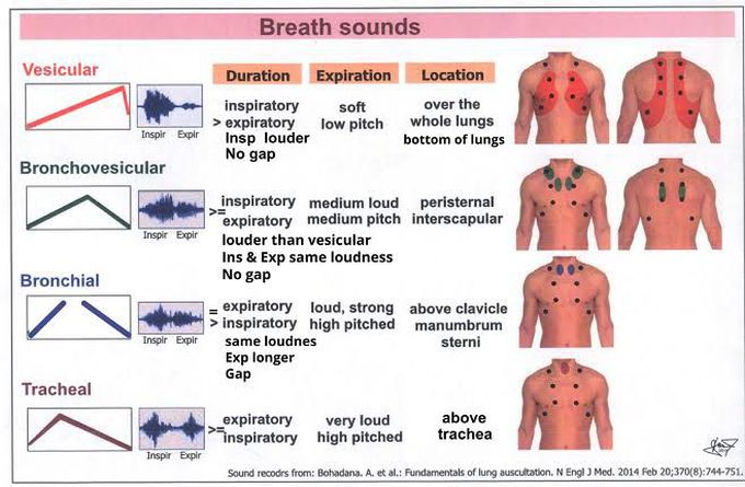 Breath Sound