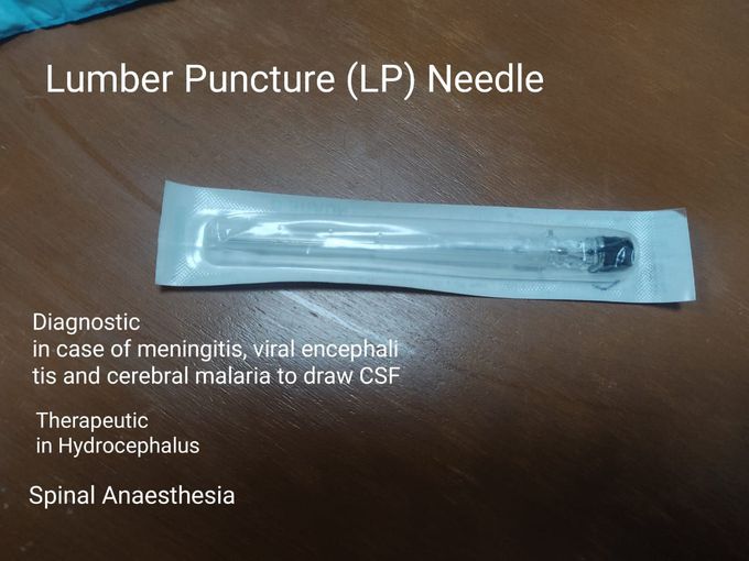 LP Needle