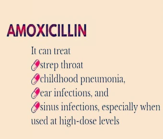 Actions of Amoxicilin