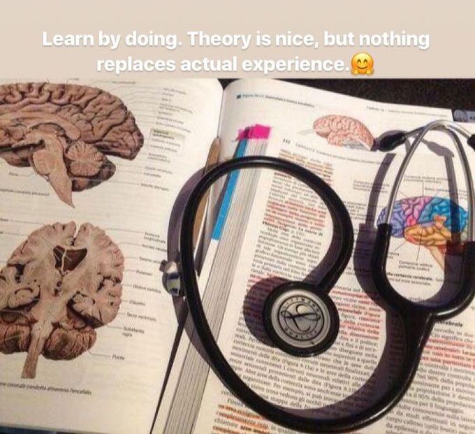 Encephalon