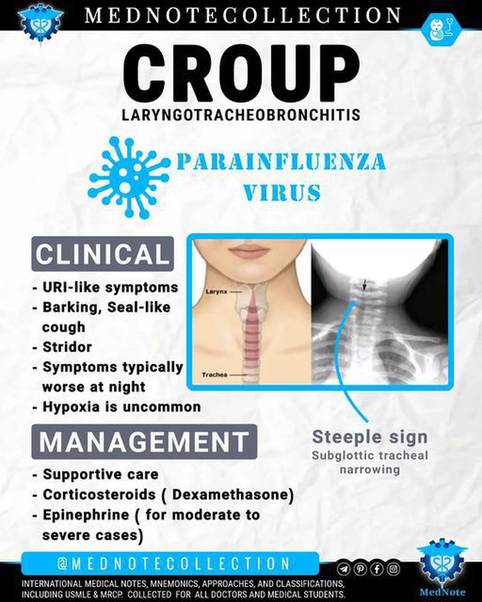 🧠 CROUP