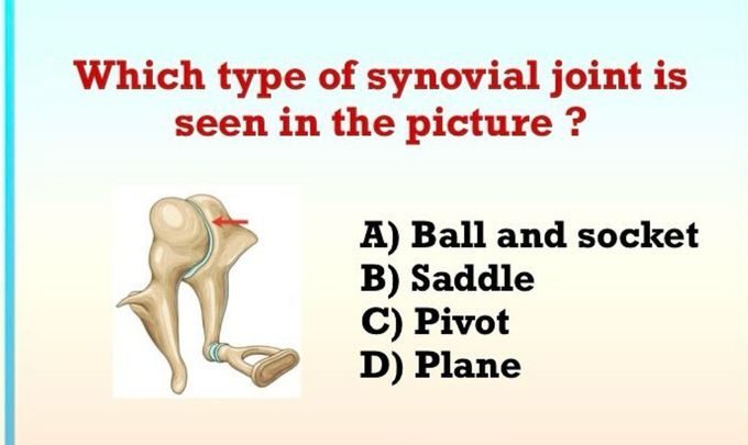 Identify the Joint Type