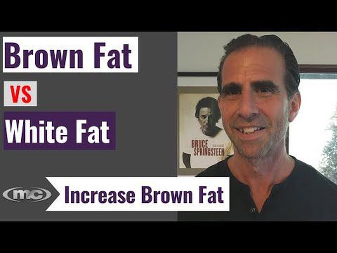 White vs brown adipose tissue