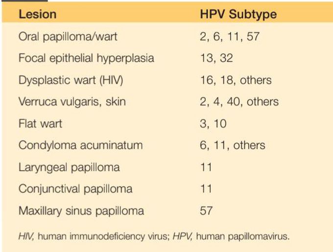 HPV lesions
