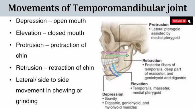 Movements of Temporomandibular Joint