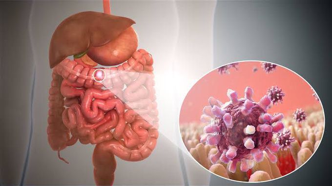 Treatment of gastroenteritis