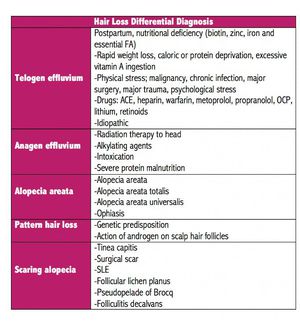 Varieties of Tinea Capitis - MEDizzy