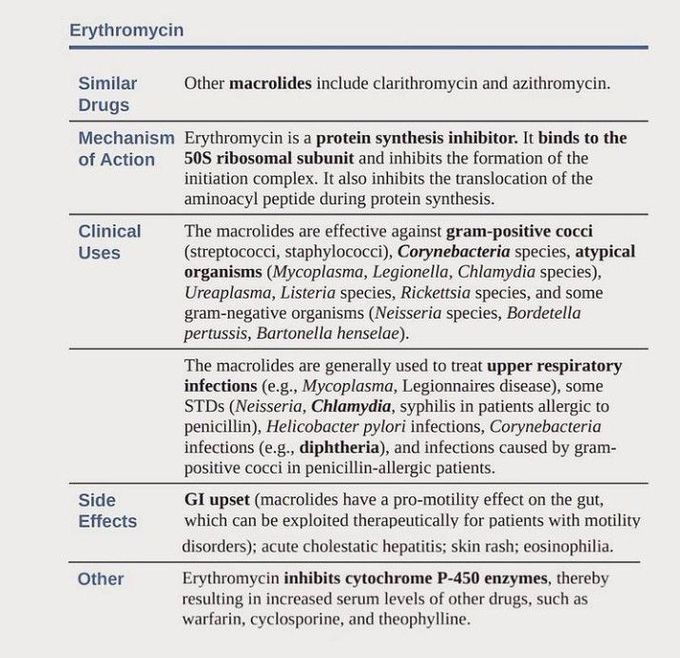 Erythromycin