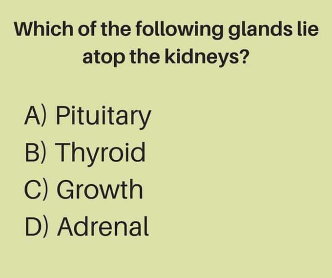 Answers please⚕⚚