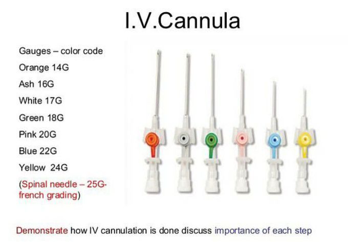 Colours & Sizes