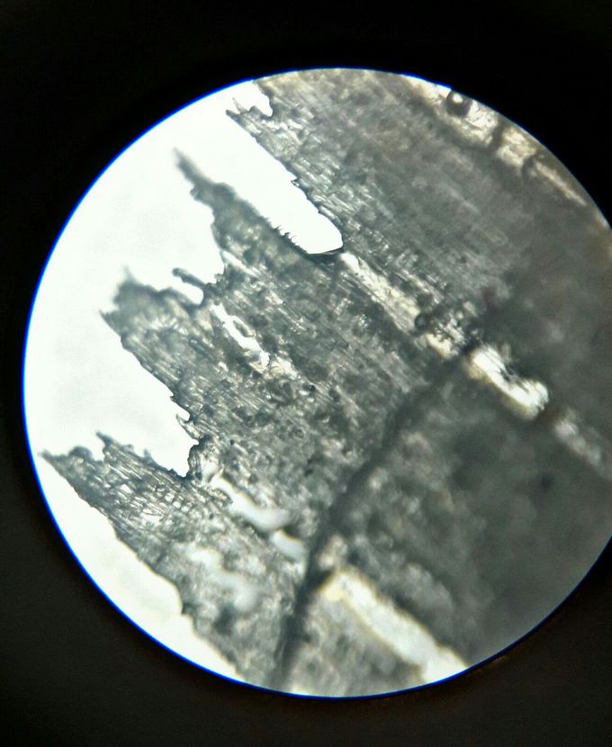 Anatomy  of crude drug