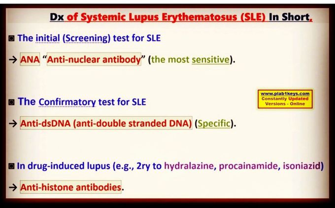 Dx of SLE