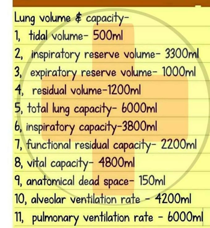 Lung vol and capacity
