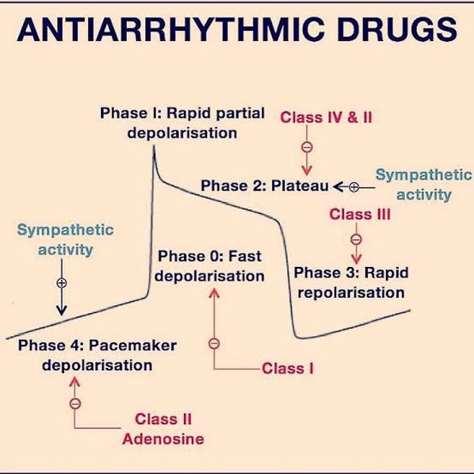 Anti-arrhythmic drugs effect