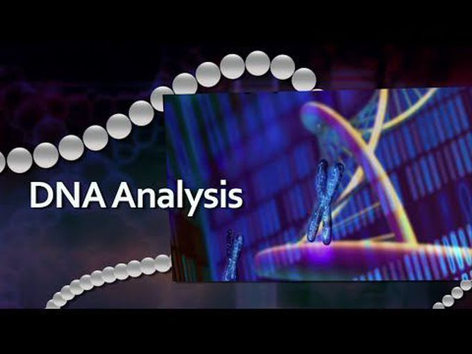 How DNA Analysis is done?