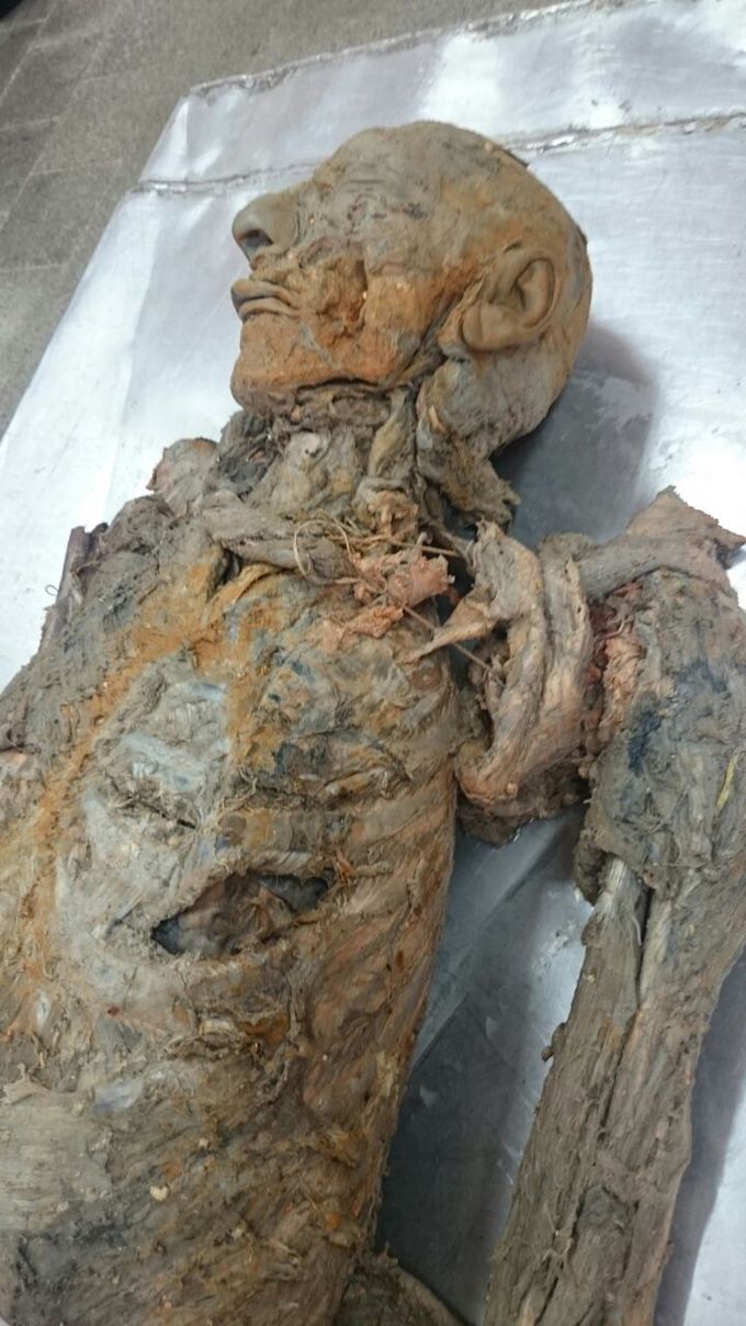 Corpse 👆💉💊