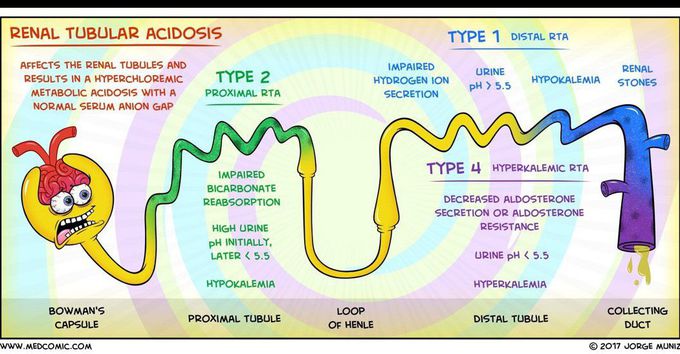 Renal tubular acidosis