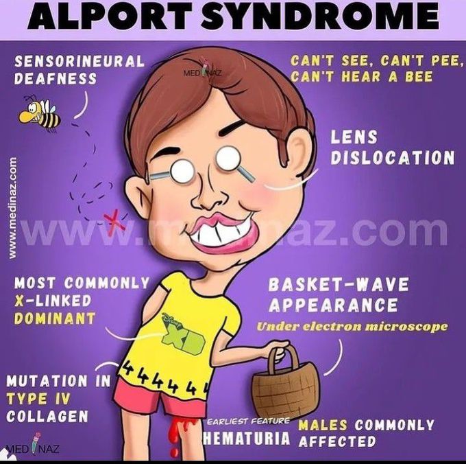 Alport syndrome