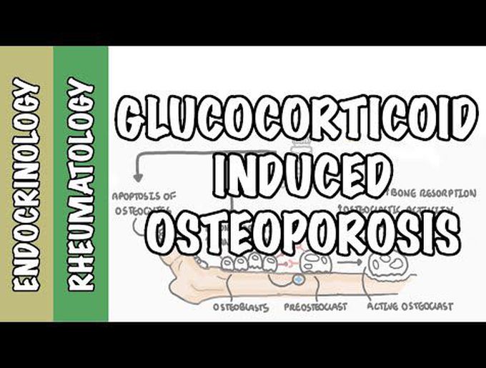 Glucocorticoids - Animation