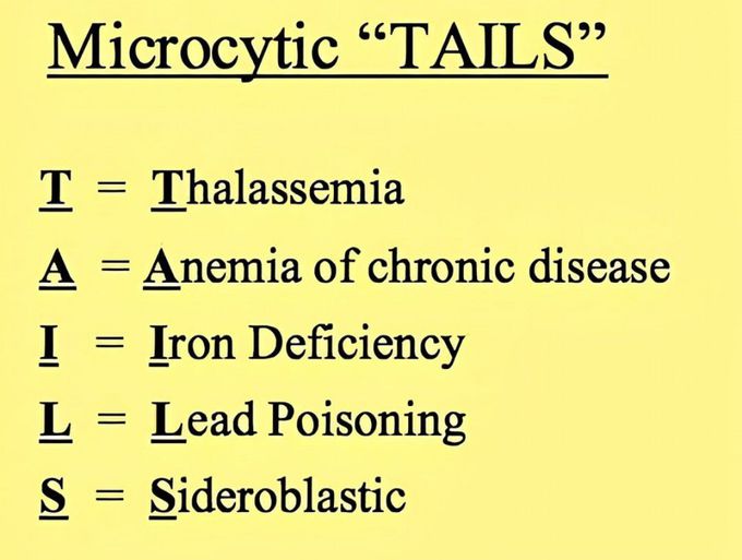 Microcytic "Tails"
