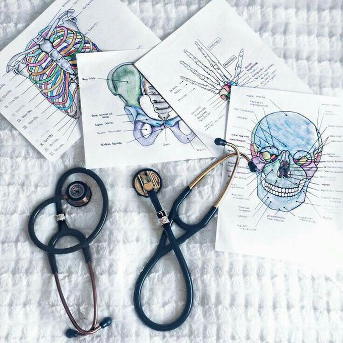 Look at these notes 😍