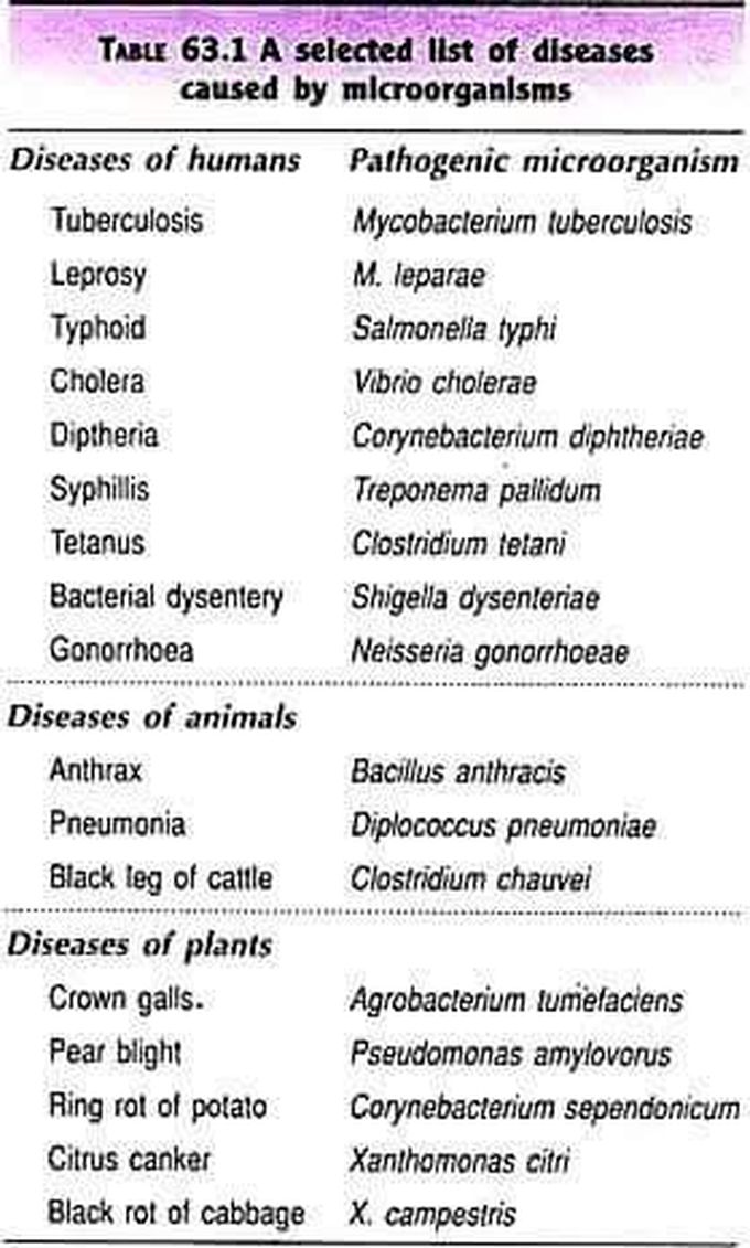 Infectious disease