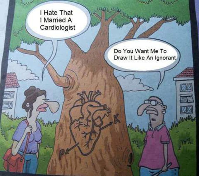 Cardiologist