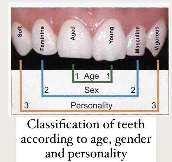 Classification of teeth