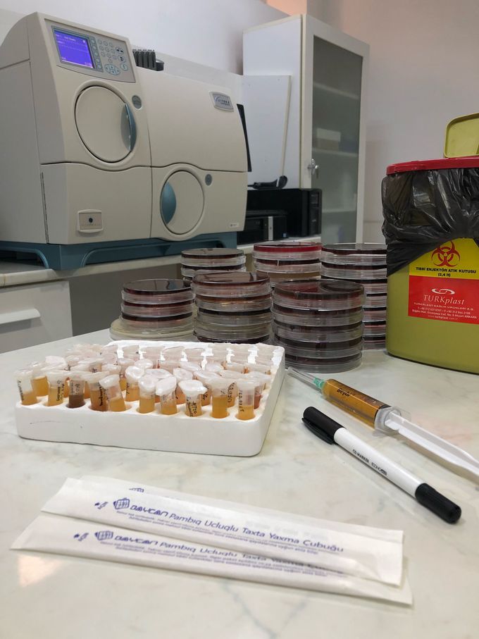 I stock a lot of bacteriaes🏥👩🏻‍⚕️👩🏻‍🔬🔬🧪🦠🧬🧫