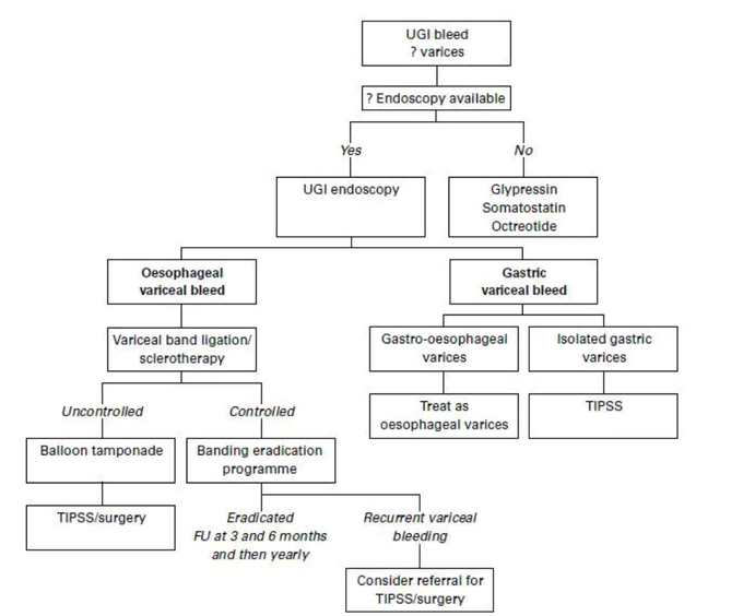 Management Of Oesophageal Varices Bleeding