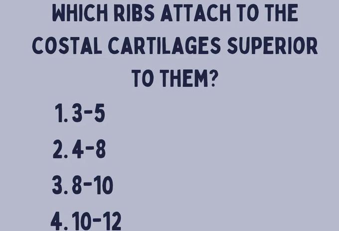 Identify the Ribs