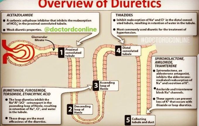 Several groups of diuretics anf their action