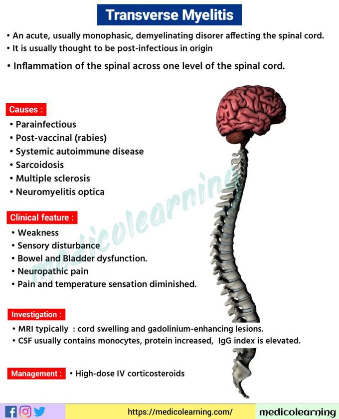 Transverse myelitis