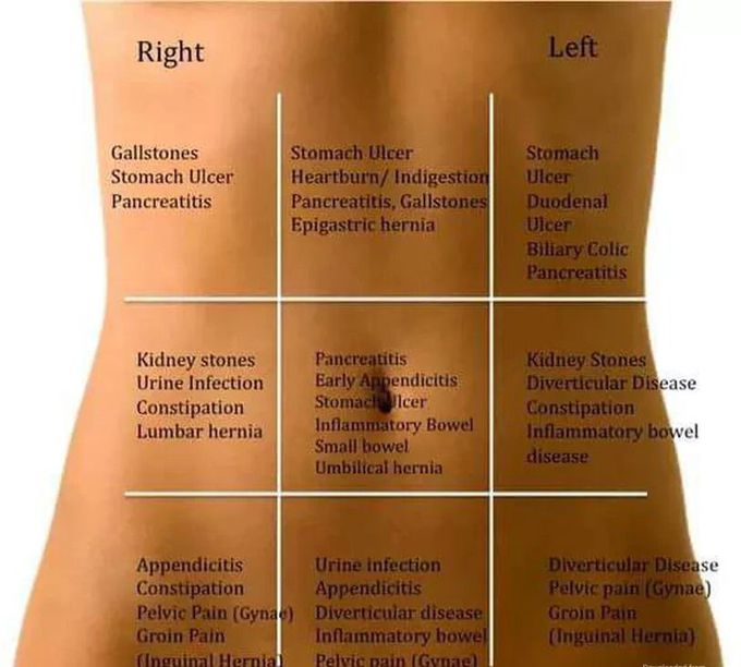 Abdomen