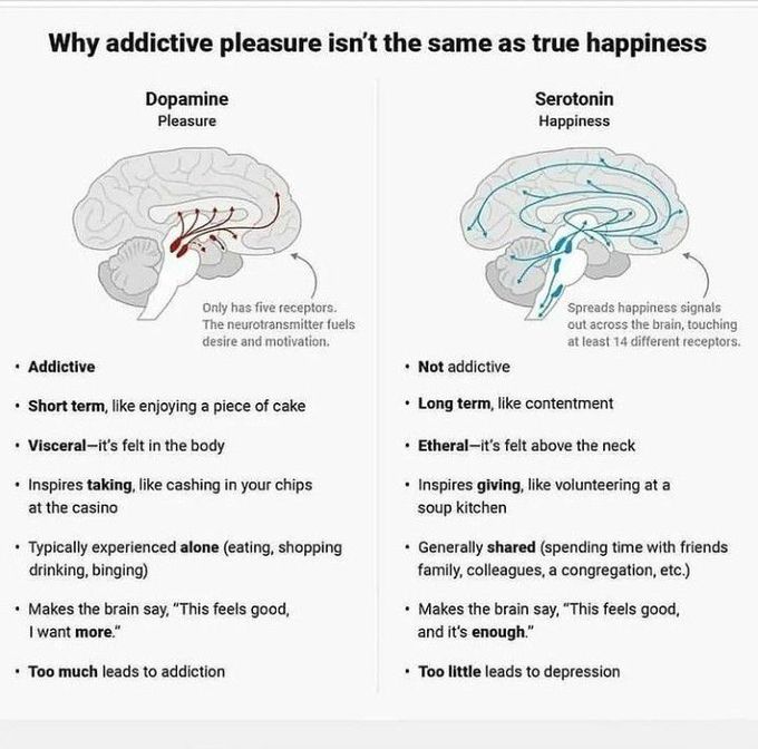 Dopamine and serotonin