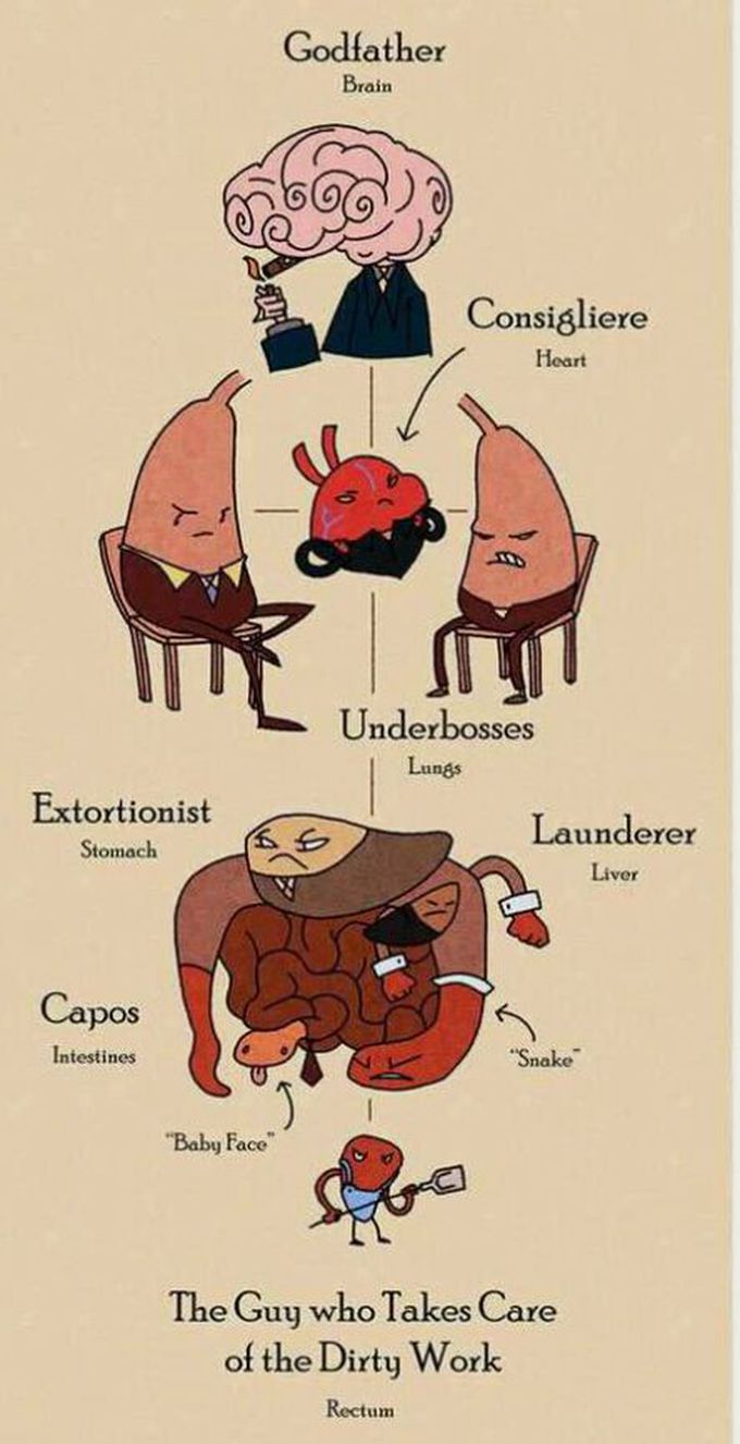 Simple knowledge...