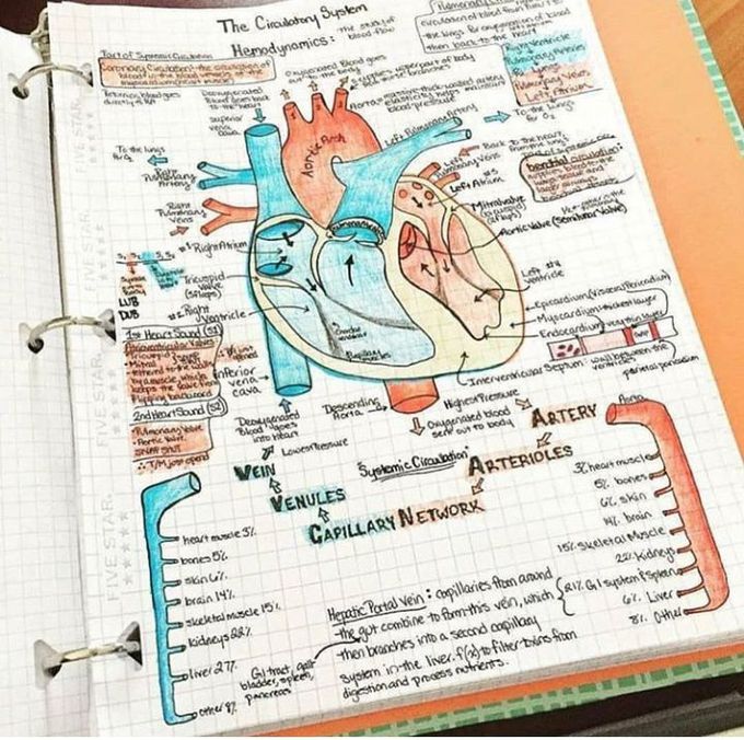 Heart