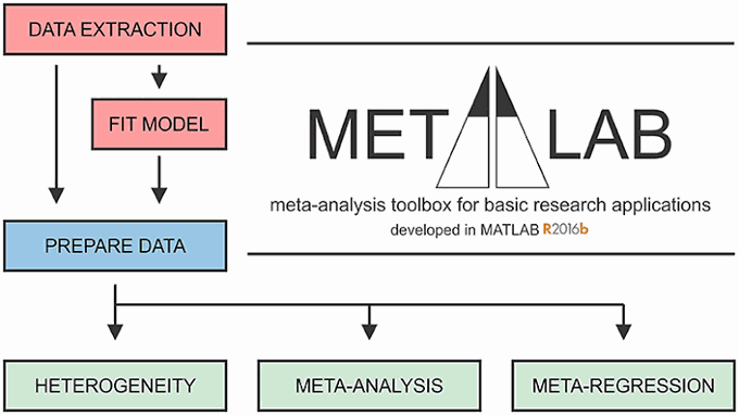 Meta-analysis
