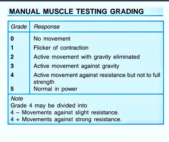 Manual Muscle Testing Grades - MEDizzy