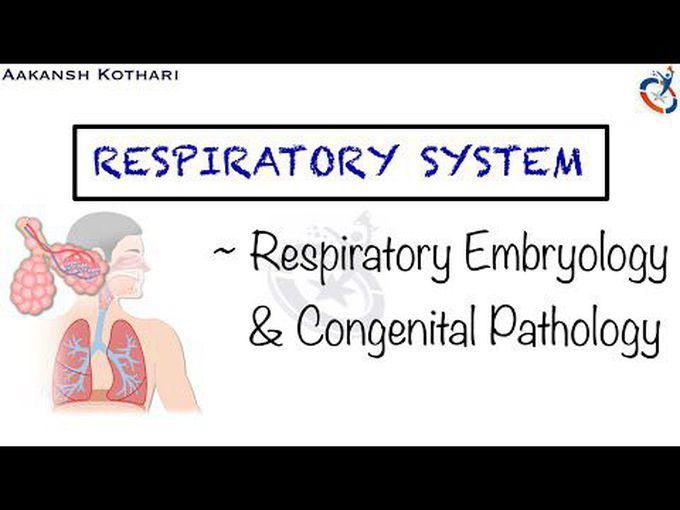 Congenital pathology of the Respiratory system