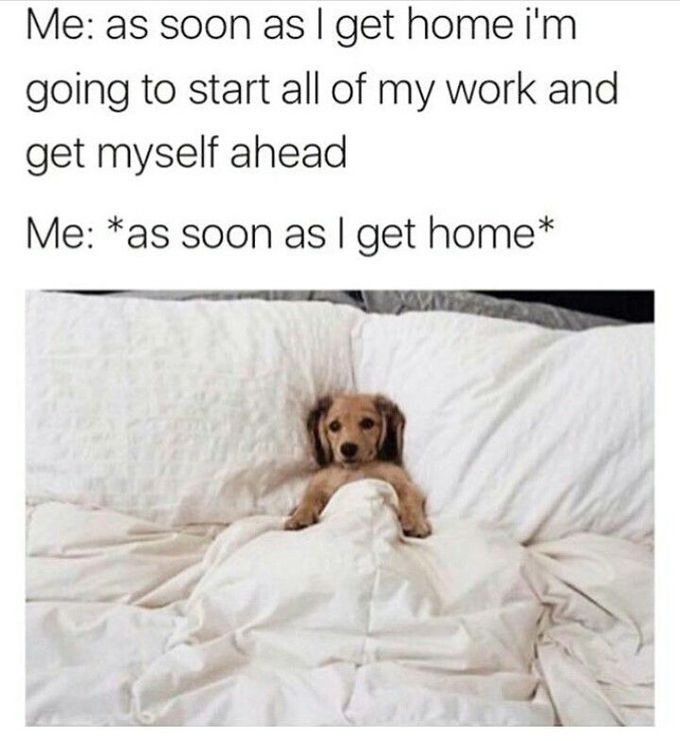 😴😴