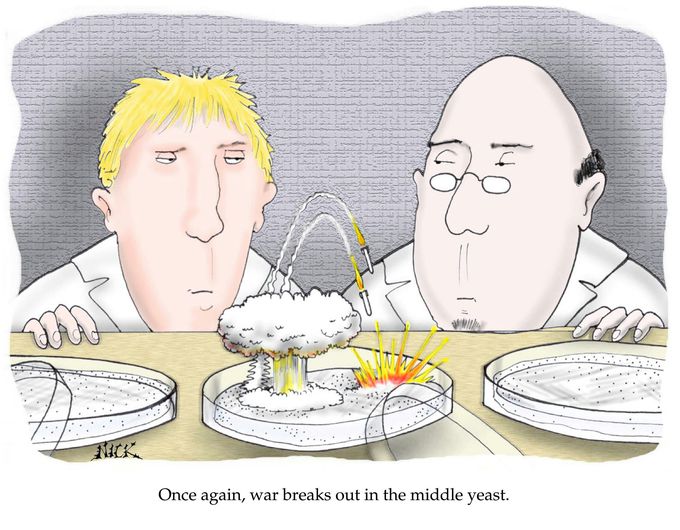 Yeast